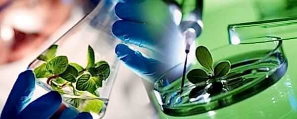 ЭКО-зависимость: лечиться будем?