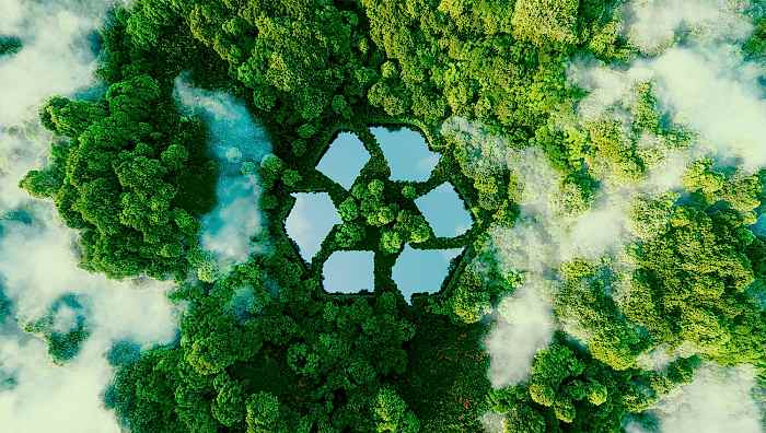 Почему наша компания экологичная?